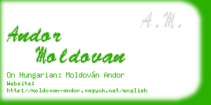 andor moldovan business card
