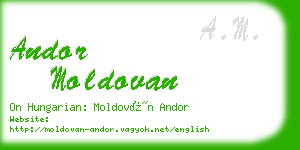 andor moldovan business card